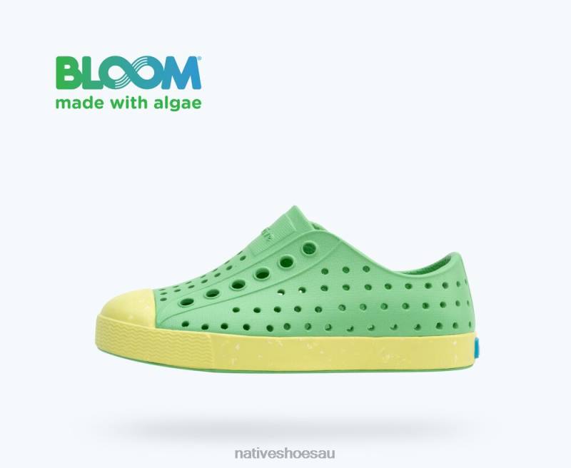 Footwear Native Shoes Jefferson Bloom Candy Green/ Celery Green/ Shell Speckles Kids 4DD0180