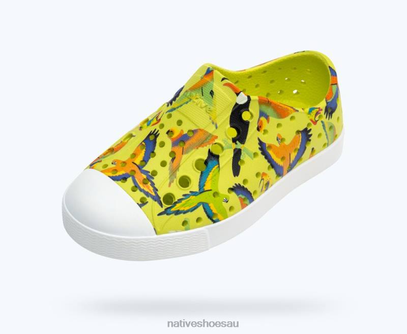 Footwear Native Shoes Jefferson Sugarlite Print Celery Green/ Shell White/ UV Tropic Birds Kids 4DD0172