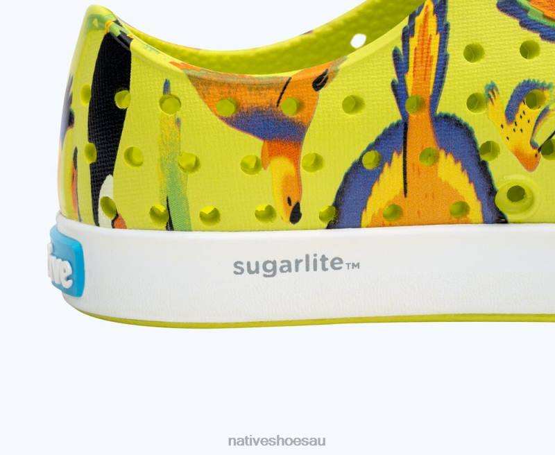 Footwear Native Shoes Jefferson Sugarlite Print Celery Green/ Shell White/ UV Tropic Birds Kids 4DD0172