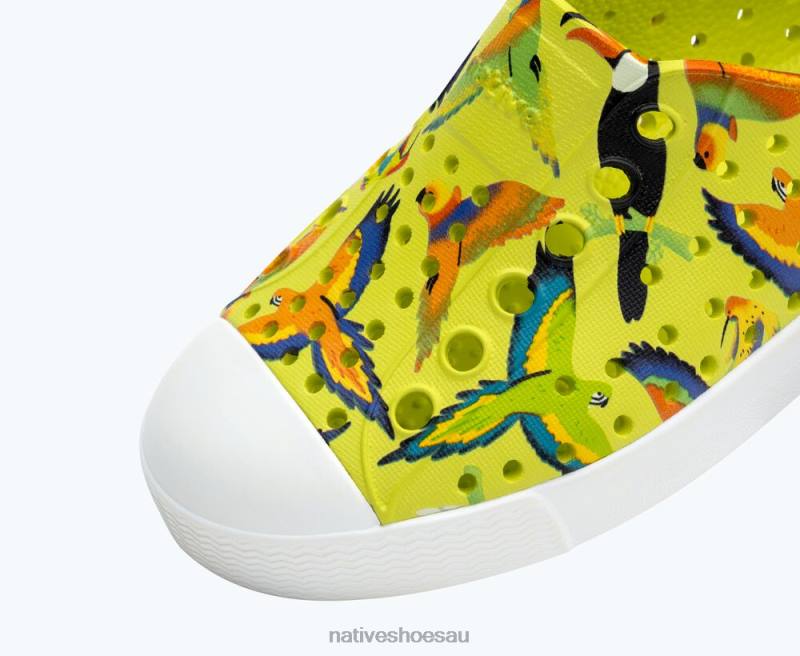 Footwear Native Shoes Jefferson Sugarlite Print Celery Green/ Shell White/ UV Tropic Birds Kids 4DD0172