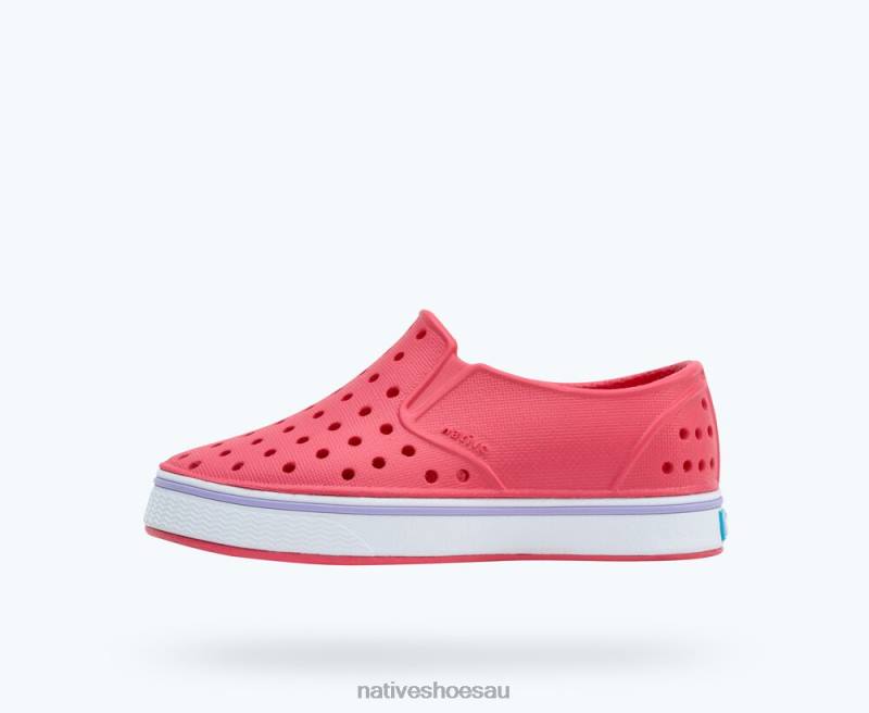 Footwear Native Shoes Miles Dazzle Pink/ Shell White/ Healing Purple Kids 4DD0144