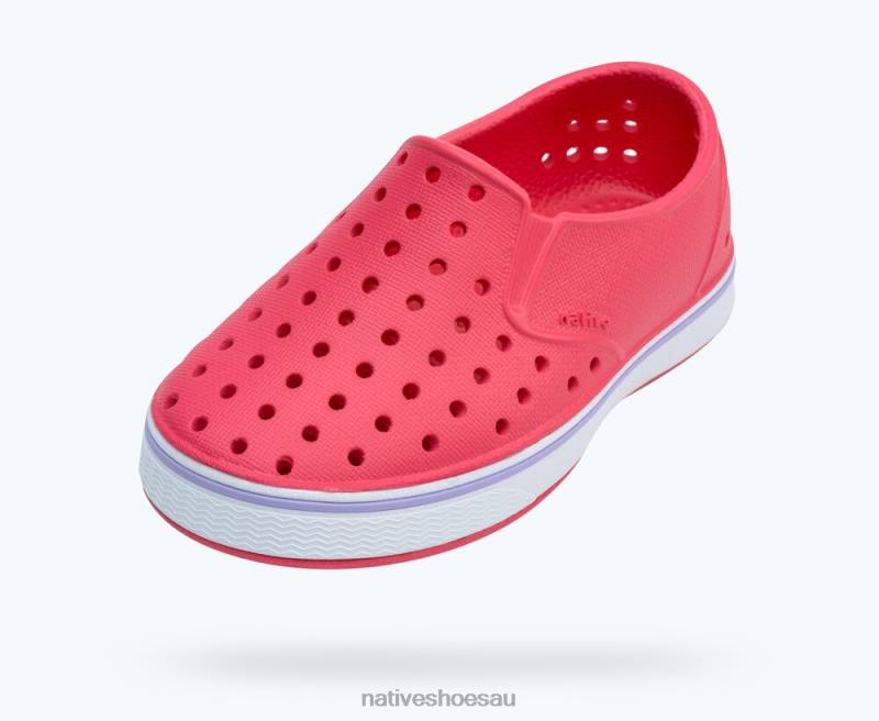 Footwear Native Shoes Miles Dazzle Pink/ Shell White/ Healing Purple Kids 4DD0144