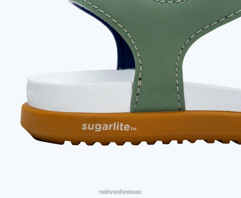 Footwear Native Shoes Charley Sugarlite Loch Green/ Shell White/ Toffee Brown Kids 4DD0111