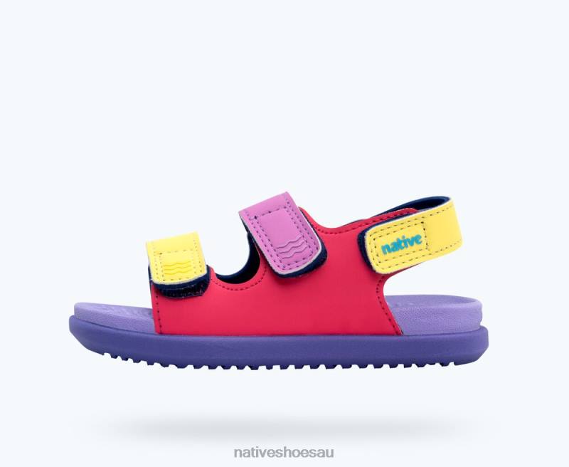 Footwear Native Shoes Frankie Sugarlite Dazzle Pink/ Healing Purple/ Haze Purple/ Morning Winterberry Strap Kids 4DD0107