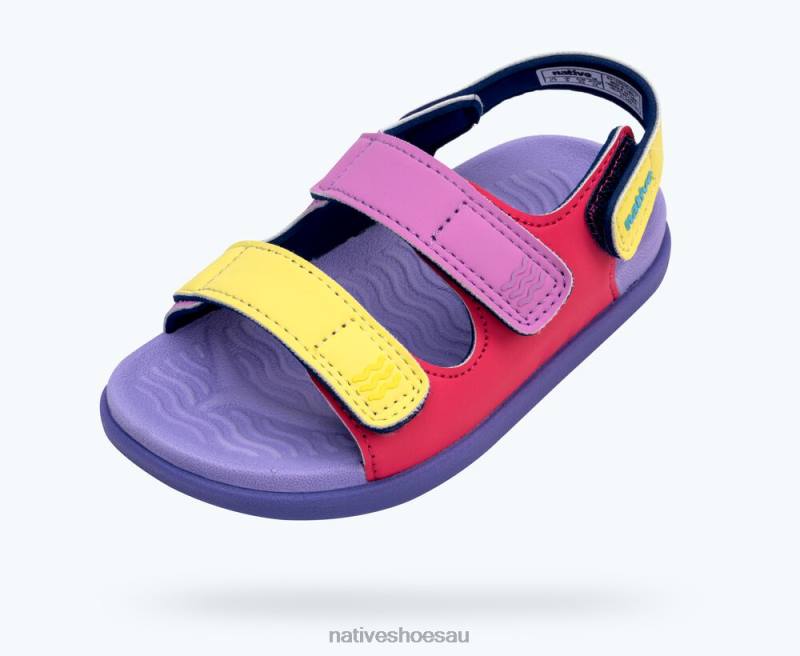 Footwear Native Shoes Frankie Sugarlite Dazzle Pink/ Healing Purple/ Haze Purple/ Morning Winterberry Strap Kids 4DD0107
