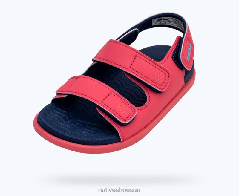 Footwear Native Shoes Frankie Sugarlite Dazzle Pink/ Regatta Blue Kids 4DD0109