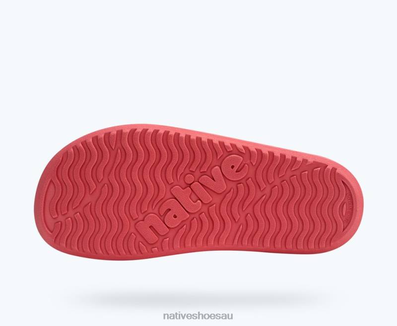 Footwear Native Shoes Frankie Sugarlite Junior Dazzle Pink/ Regatta Blue Kids 4DD093