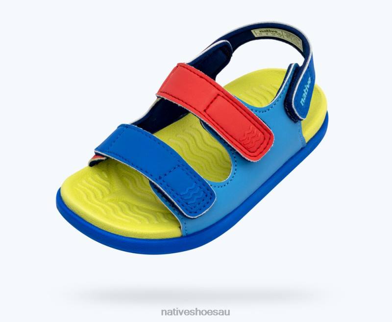 Footwear Native Shoes Frankie Sugarlite Resting Blue/ Celery Green/ UV Blue/ UV Hyper Strap Kids 4DD085