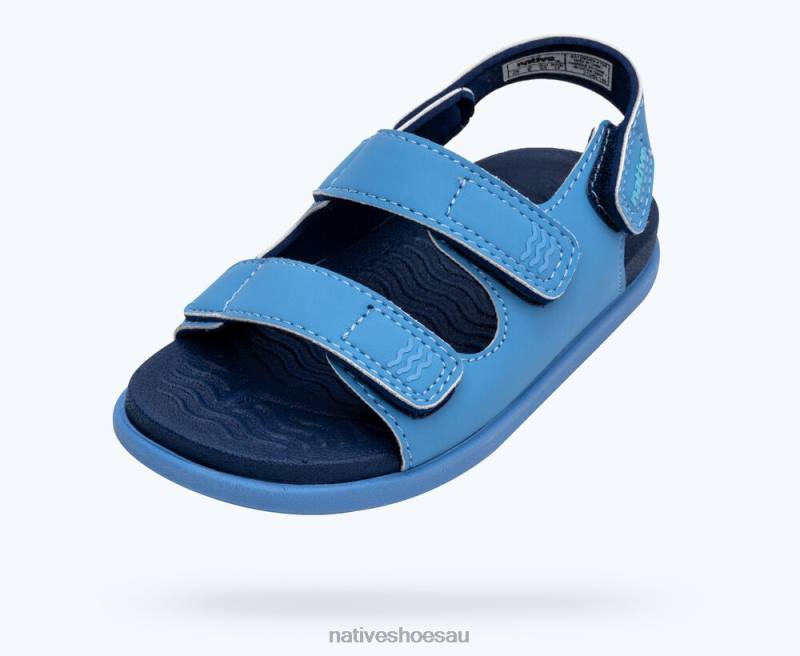 Footwear Native Shoes Frankie Sugarlite Resting Blue/ Regatta Blue Kids 4DD0106