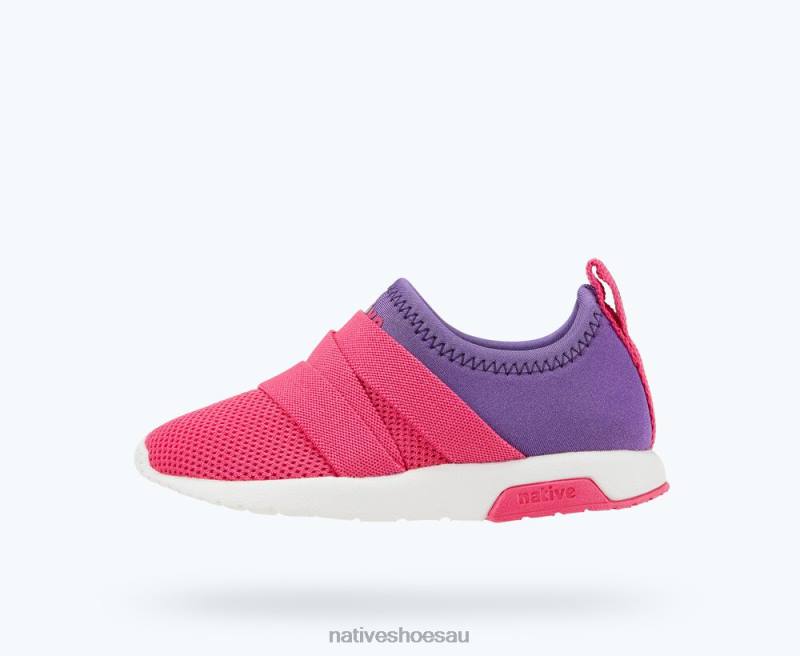 Footwear Native Shoes Phoenix Starfish Purple/ Hollywood Pink/ Shell White Kids 4DD0202