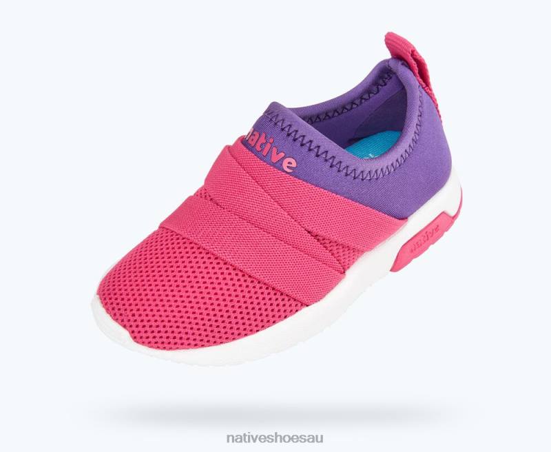 Footwear Native Shoes Phoenix Starfish Purple/ Hollywood Pink/ Shell White Kids 4DD0202