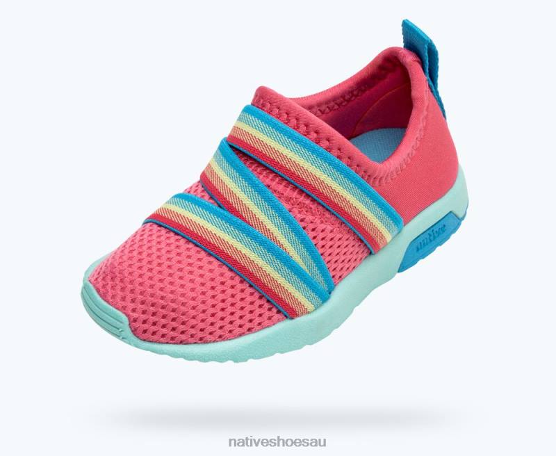 Footwear Native Shoes Phoenix Sugarlite Dazzle Pink/ Hydrangea Blue/ Maria Blue Kids 4DD0193