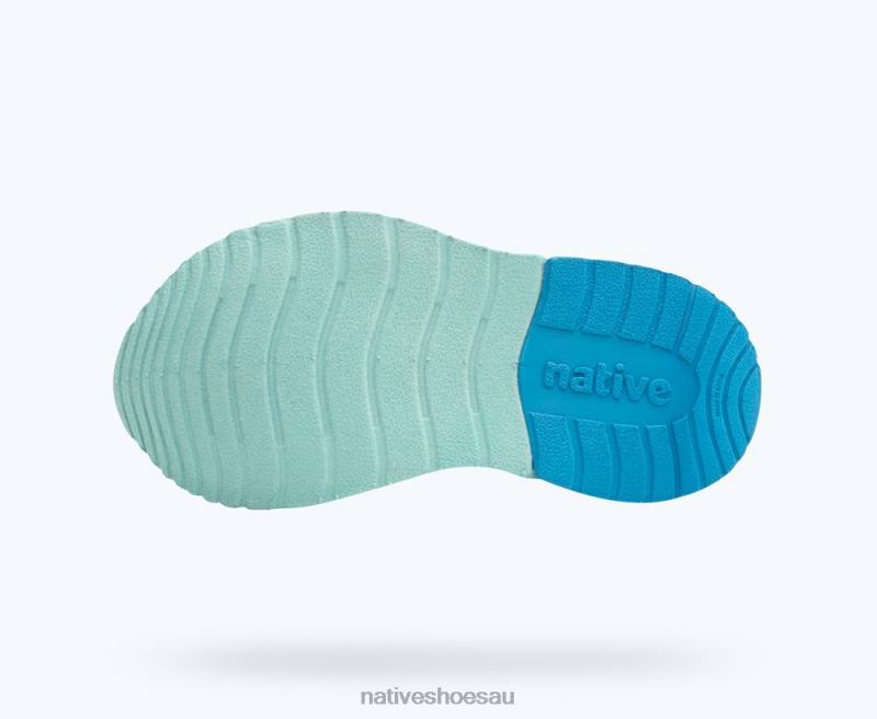 Footwear Native Shoes Phoenix Sugarlite Dazzle Pink/ Hydrangea Blue/ Maria Blue Kids 4DD0193