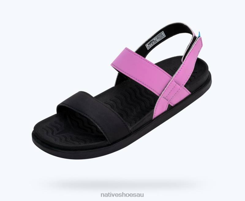 Footwear Native Shoes Ellis Sugarlite Winterberry Pink/ Jiffy Black Men 4DD07