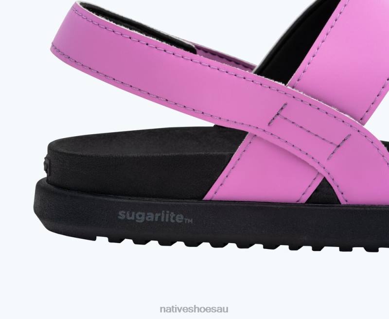 Footwear Native Shoes Ellis Sugarlite Winterberry Pink/ Jiffy Black Men 4DD07